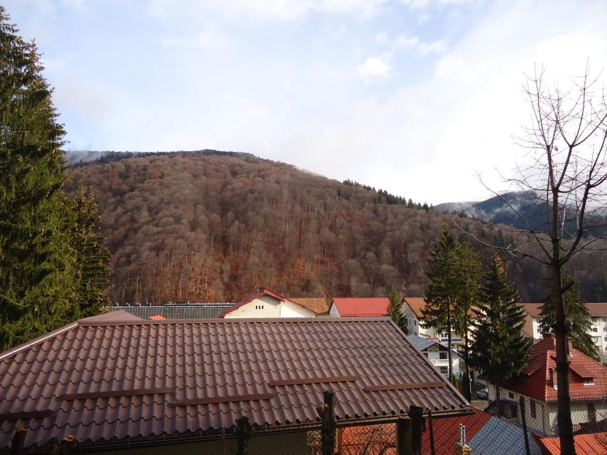 Casa Serban Villa Sinaia Exteriör bild