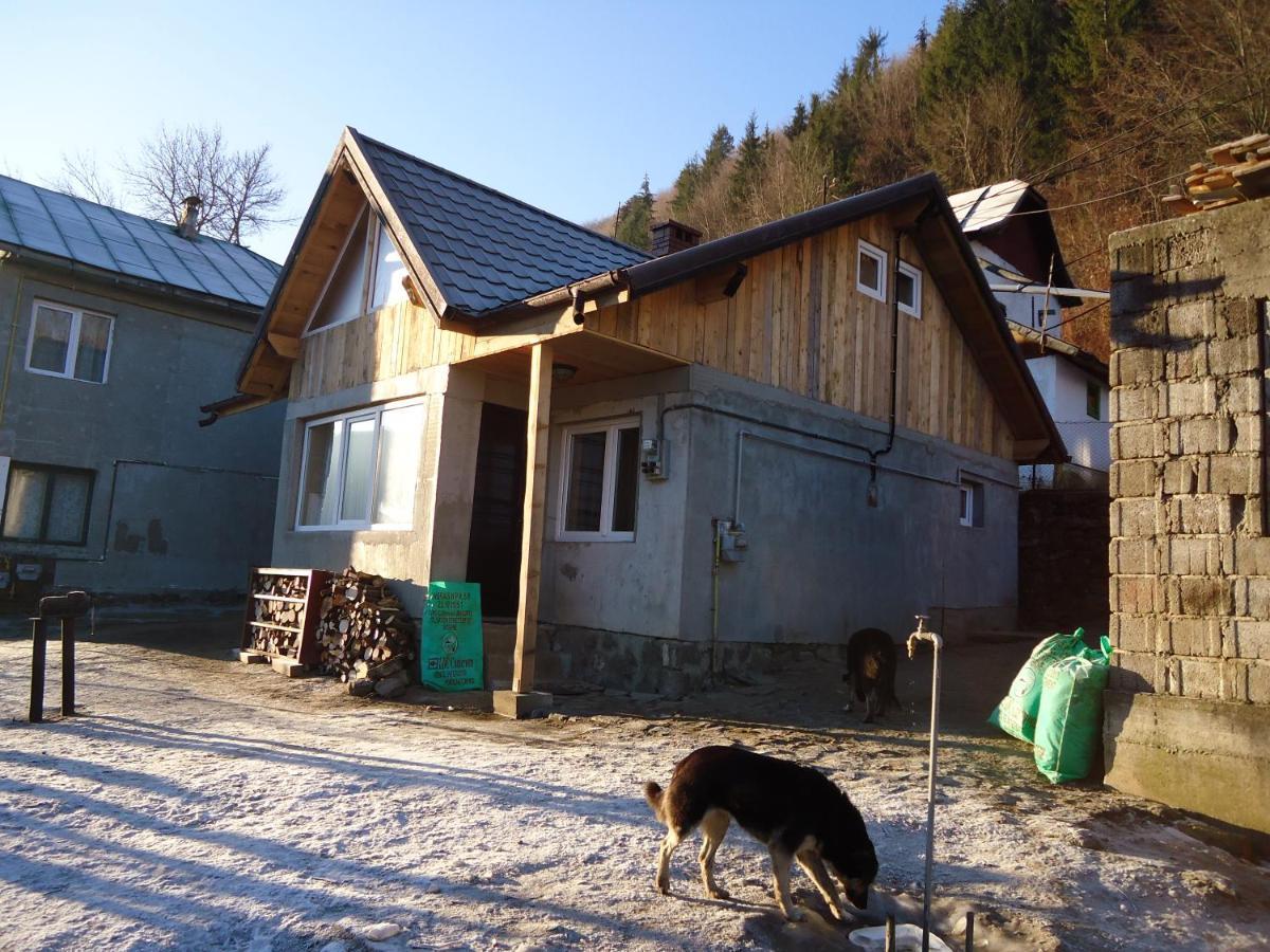 Casa Serban Villa Sinaia Exteriör bild