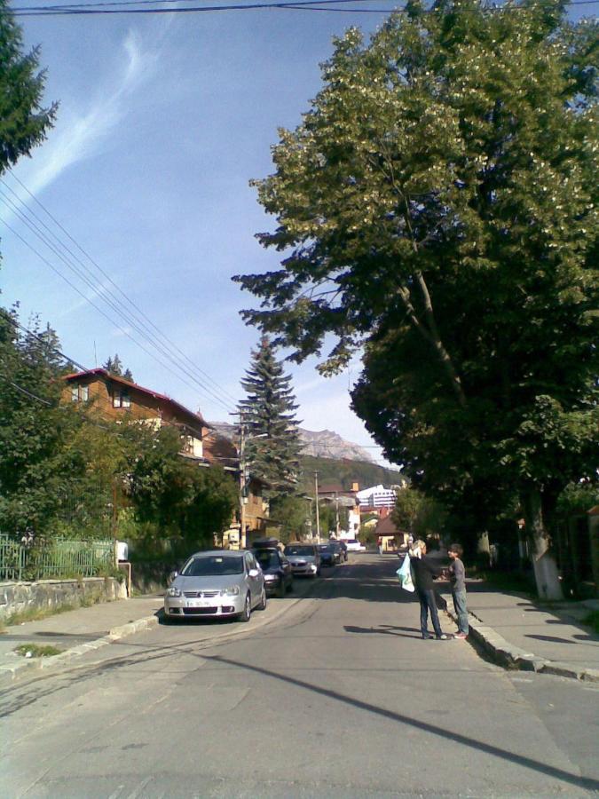 Casa Serban Villa Sinaia Exteriör bild